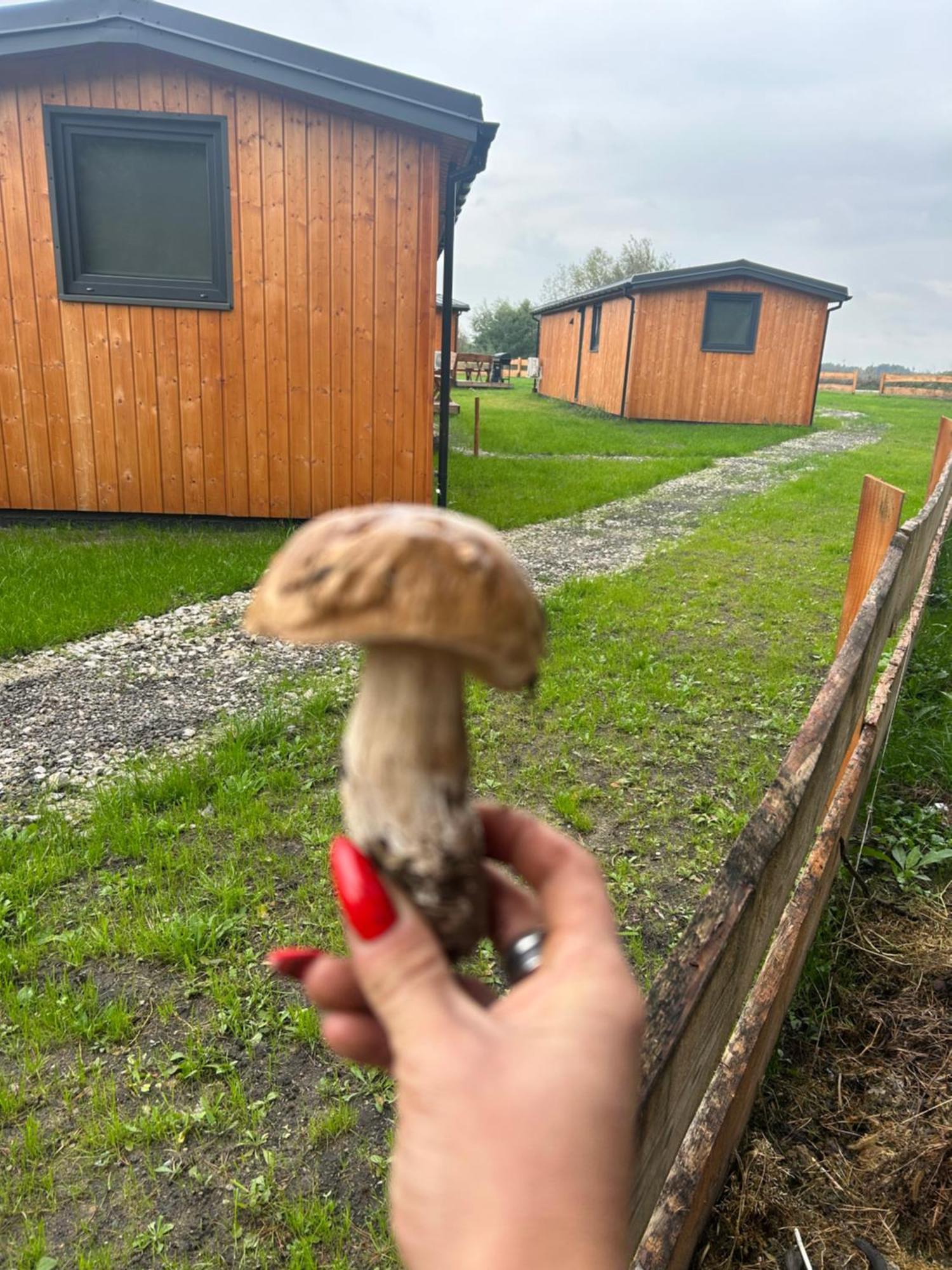 Zacisze Obok Suntago Park Ξενοδοχείο Grabce-Towarzystwo Εξωτερικό φωτογραφία